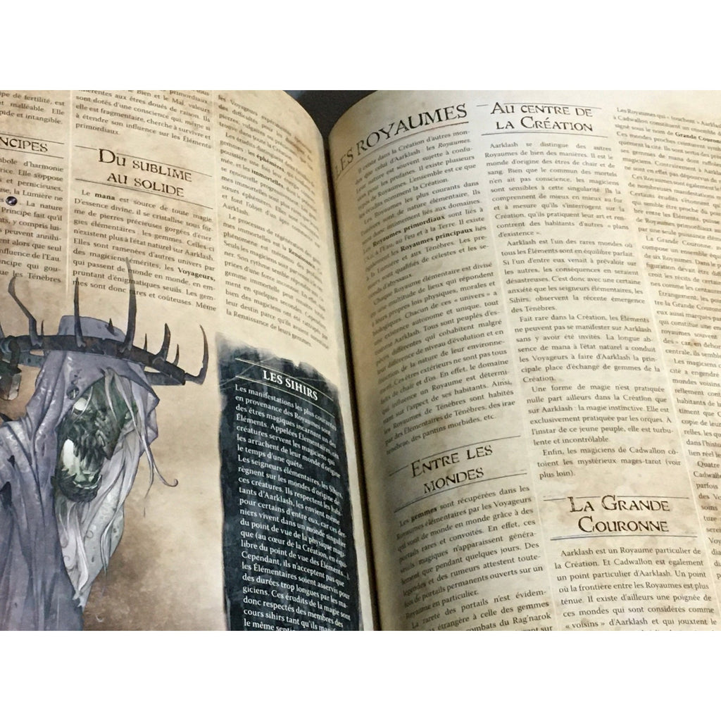 BOOK USED RACKHAM CONFRONTATION CADWALLON THE FREE CITY RULEBOOK FRENCH HARDBACK