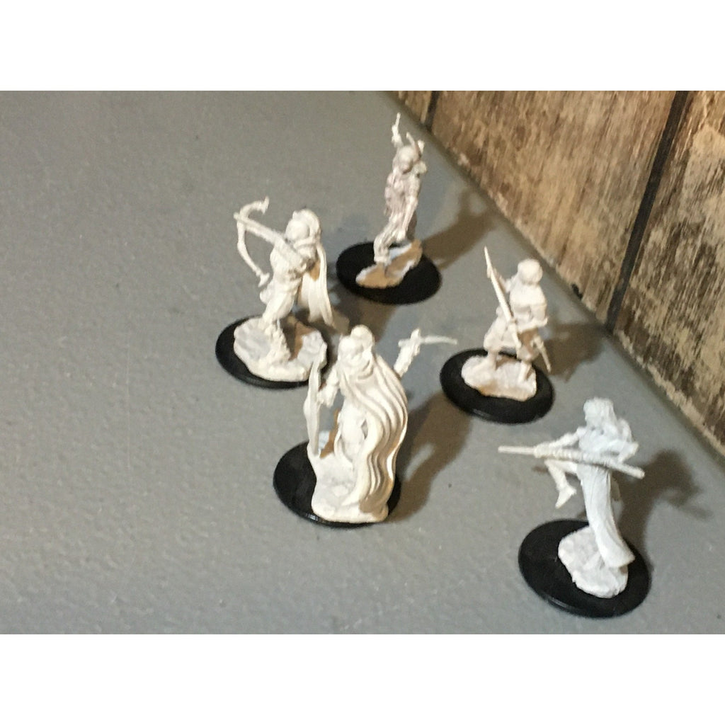 A30068 WIZARDS MINIATURES D&D DUNGEONS & DRAGONS MIXED ADVENTURERS