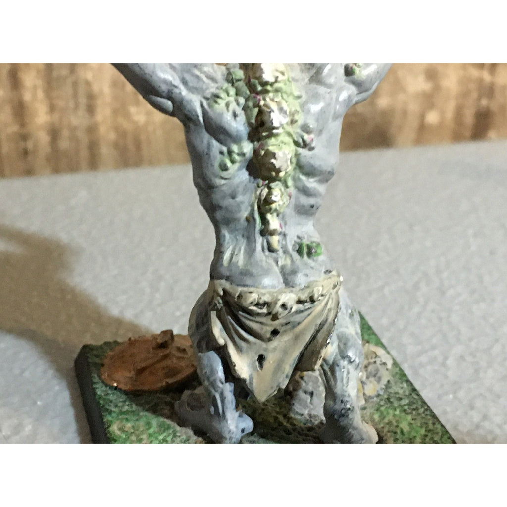 A32509 WARHAMMER FANTASY ORCS & GOBLINS SKULL PASS TROLL PAINT BASE GW