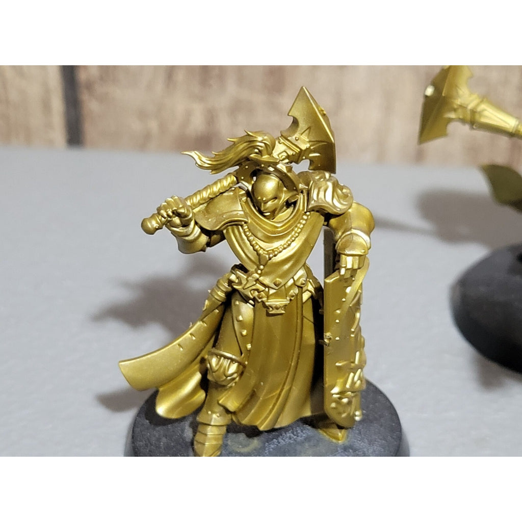 A19309 WARHAMMER AOS SIGMAR STORMCAST ETERNALS SEQUITORS 5 PK