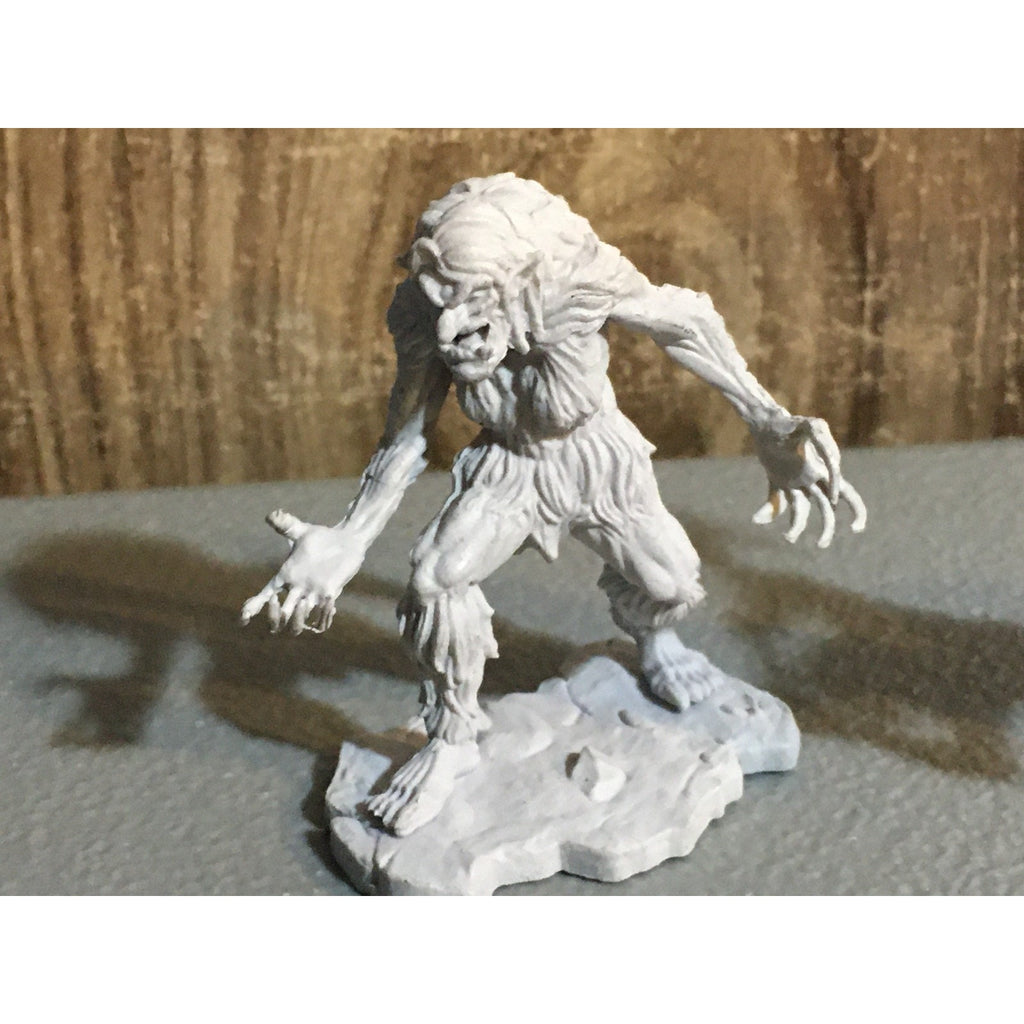 A30882 DUNGEONS & DRAGONS D&D NOLZUR'S MARVELOUS MINIS GNOLLS & FEMALE ICE TROLL