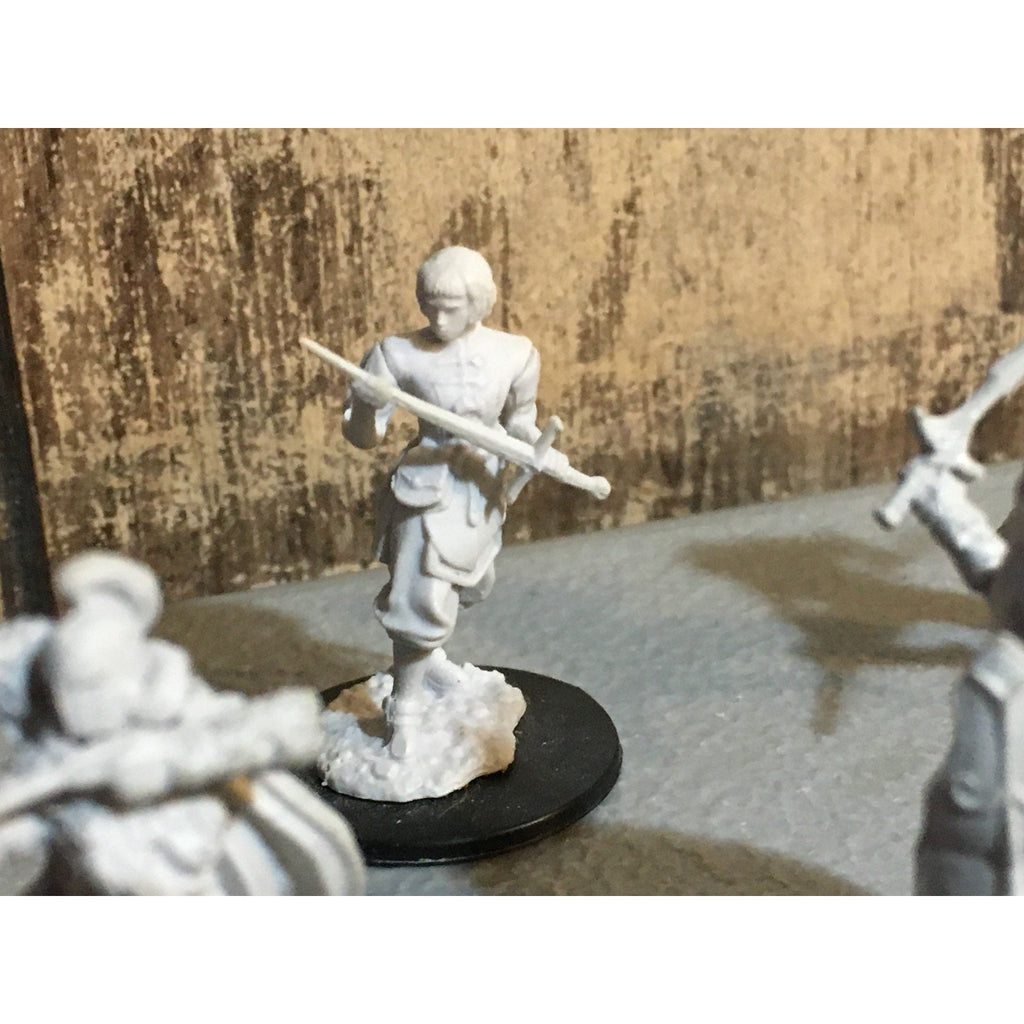 A30068 WIZARDS MINIATURES D&D DUNGEONS & DRAGONS MIXED ADVENTURERS