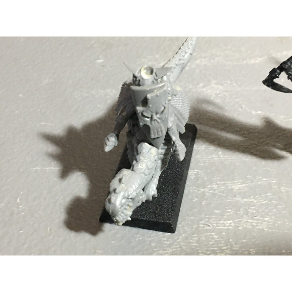 A22066 WARHAMMER FANTASY DARK ELVES INCOMPLETE SPEARMEN & COLD ONE GW