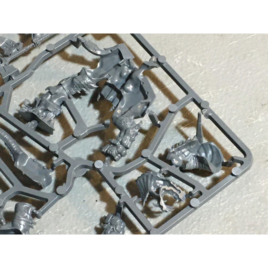 A24167 WARHAMMER AOS STORMCAST ETERNALS LORD CELESTANT ON DRACOTH NOS SPRUE GW