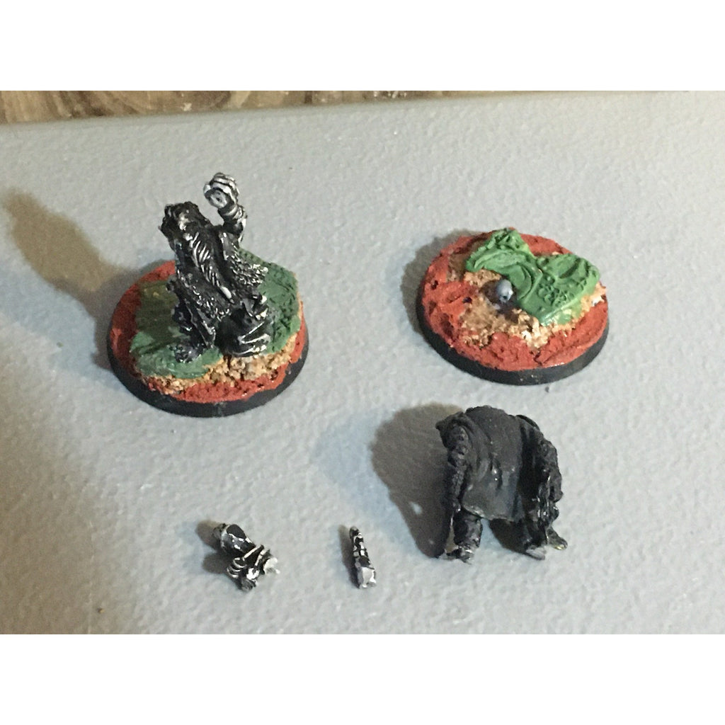 A32871 WARHAMMER FANTASY CITADEL MARAUDER 2 PK ORCS SHAMAN WARRIOR