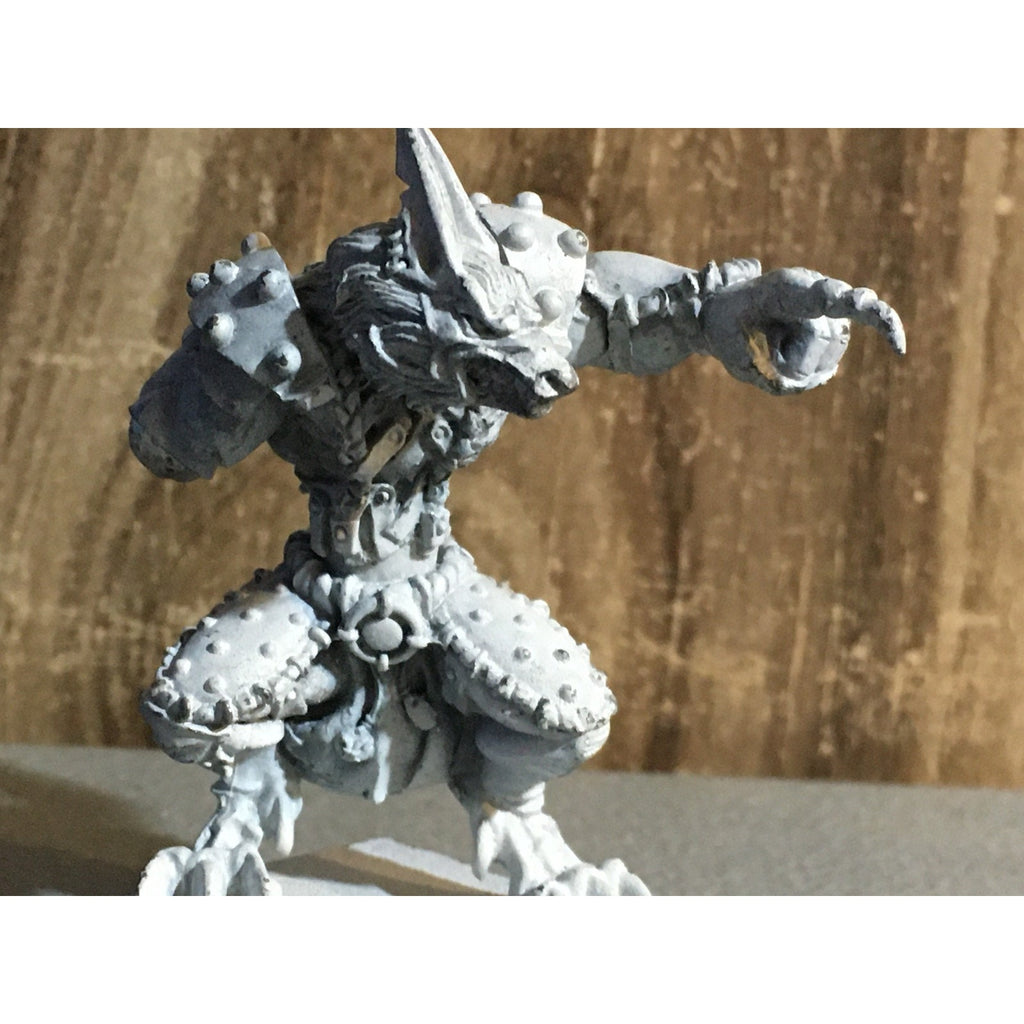 A30871 RACKHAM CONFRONTATION METAL WULFEN WOLF PACK GUIDE KILLYOX MISS BANNER
