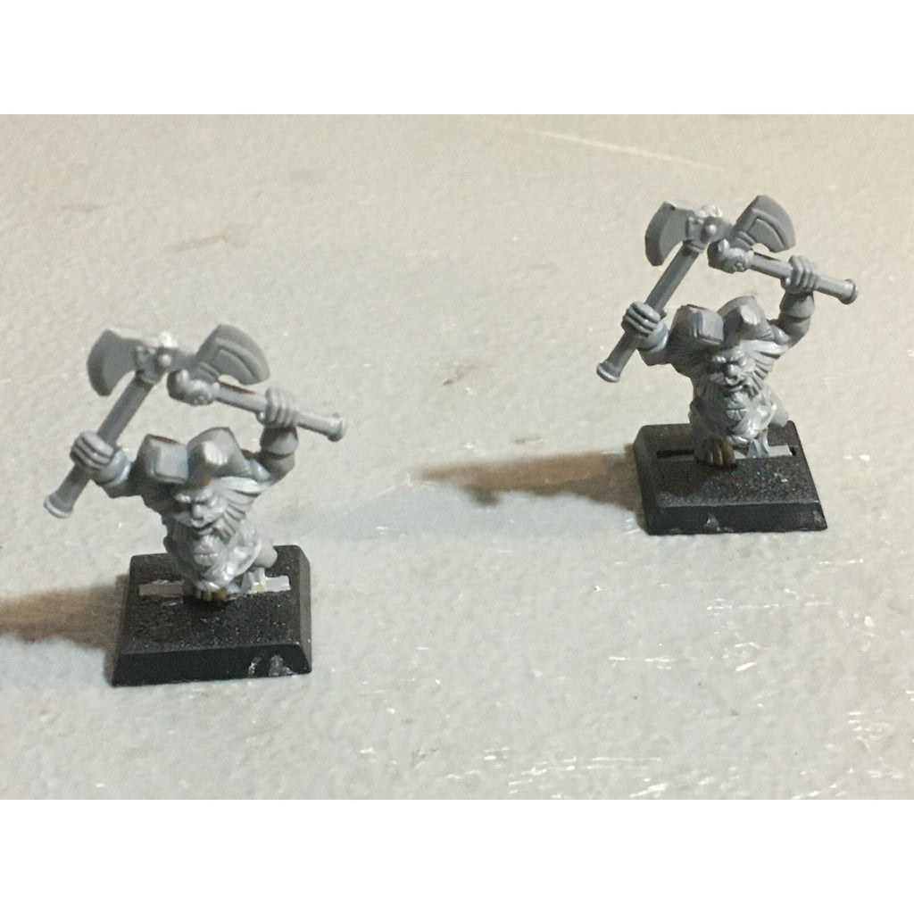 A22061 WARHAMMER FANTASY DWARFS SKULL PASS SLAYER CHAMPION 2X GW