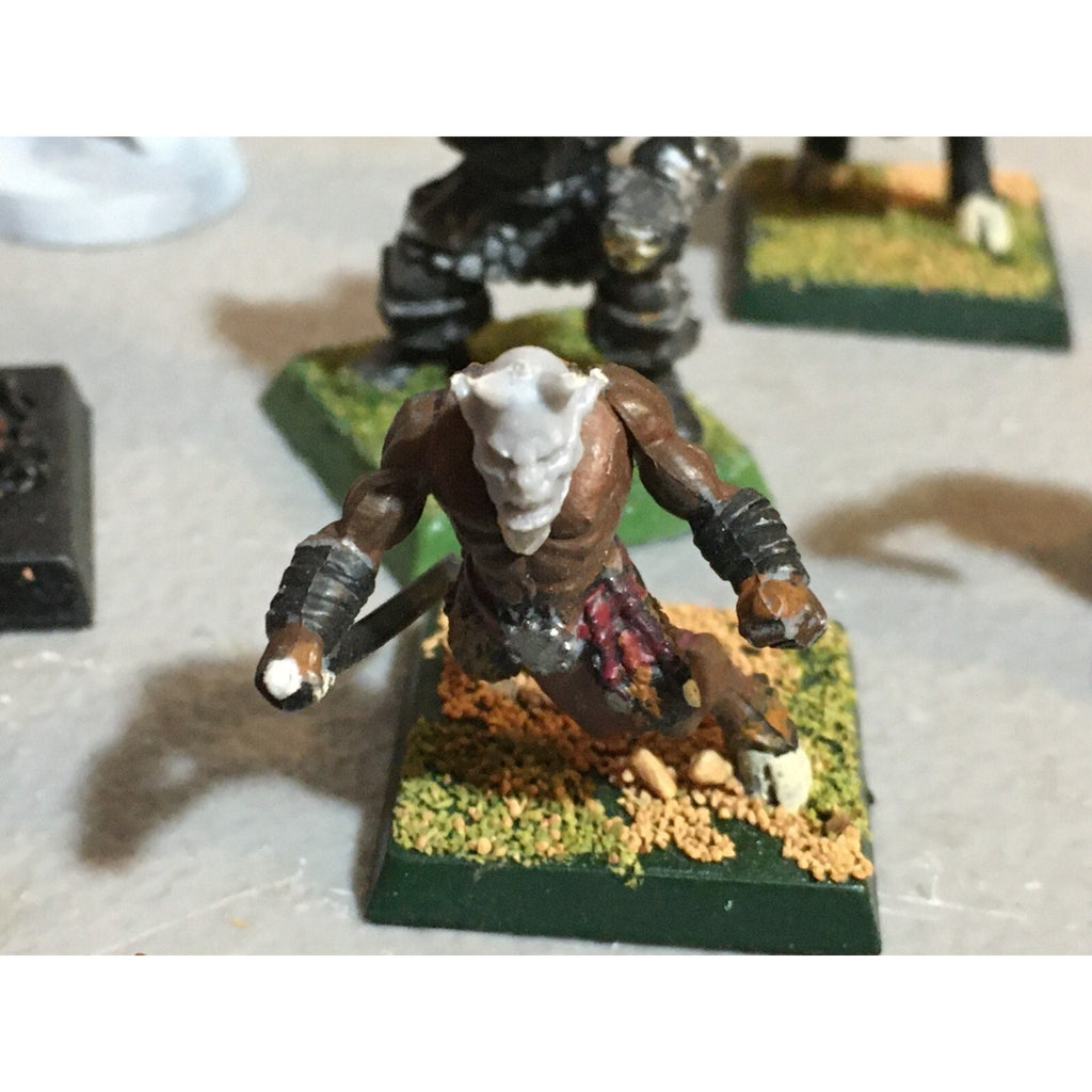 A23489 WARHAMMER FANTASY INCOMPLETE LOT CHAOS MIXED BEASTS MORTALS GW