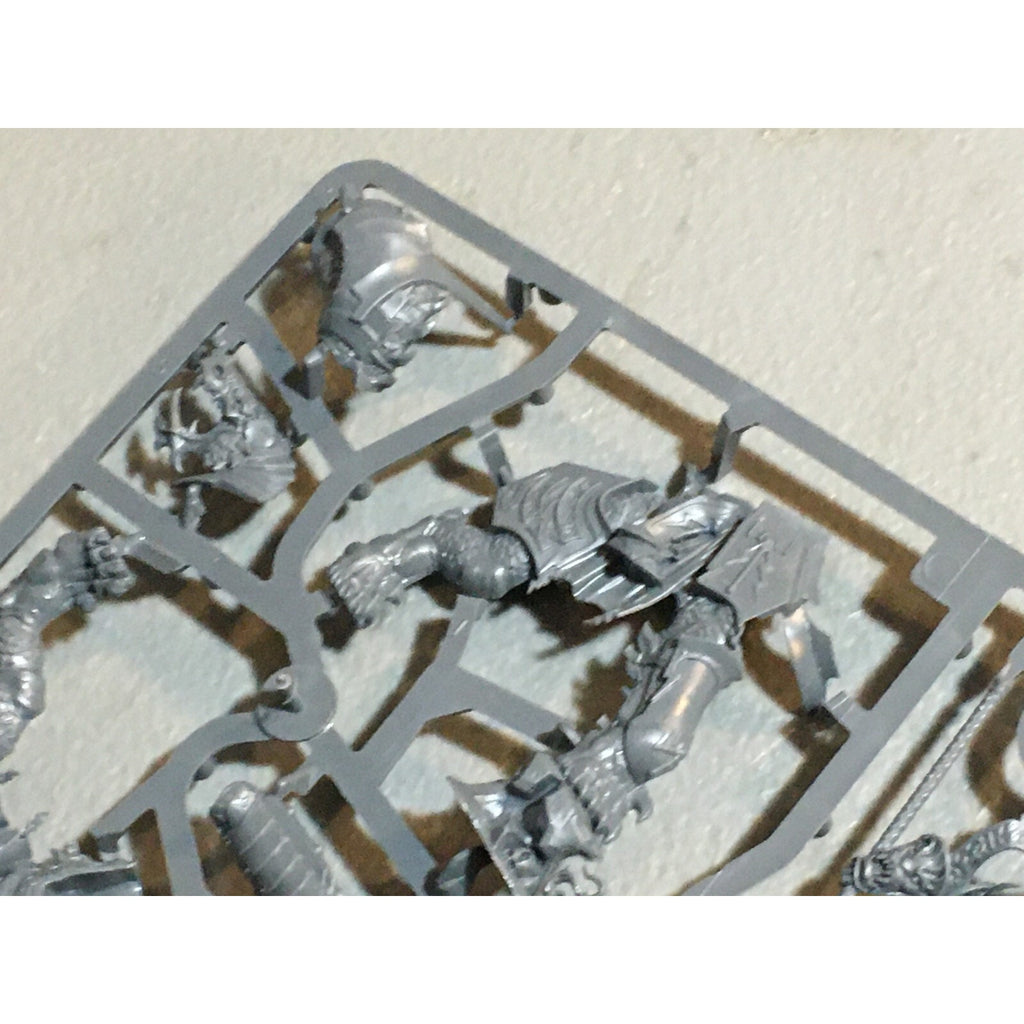 A24167 WARHAMMER AOS STORMCAST ETERNALS LORD CELESTANT ON DRACOTH NOS SPRUE GW