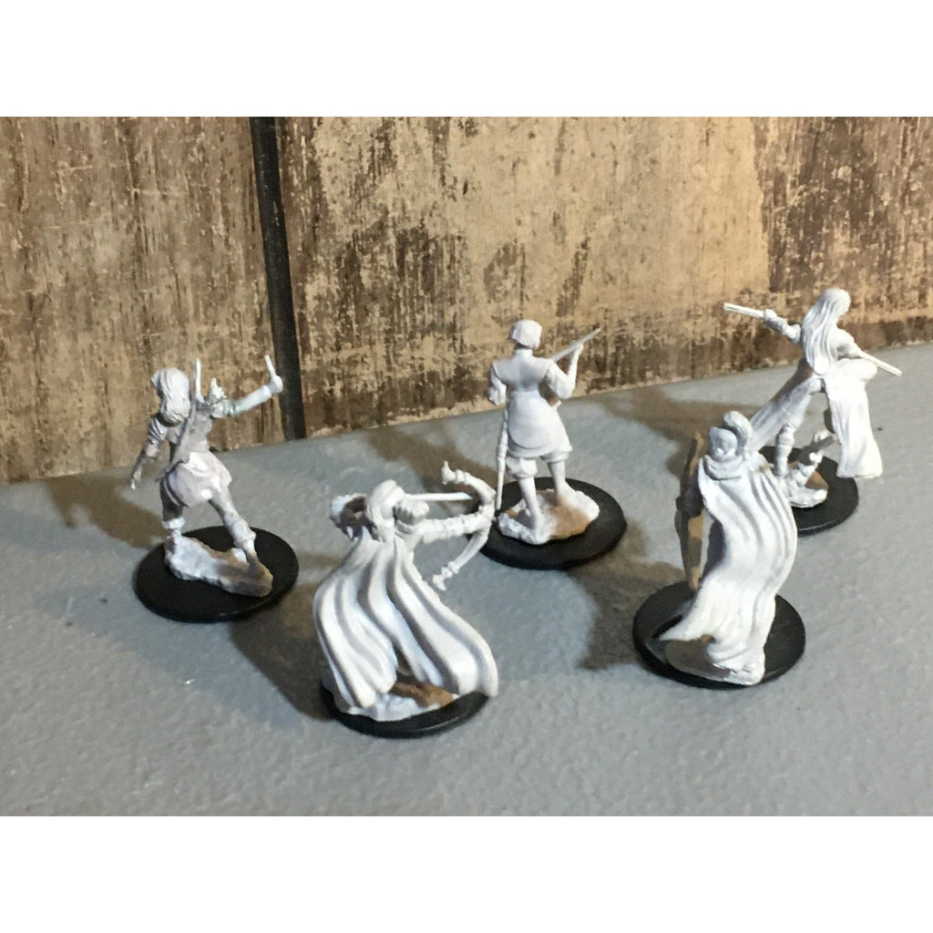 A30068 WIZARDS MINIATURES D&D DUNGEONS & DRAGONS MIXED ADVENTURERS