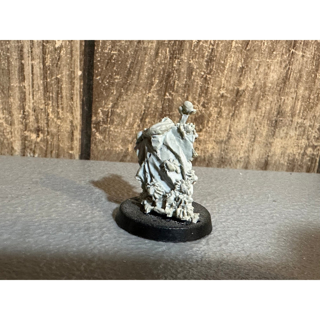 A30168 LOTR LORD OF THE RINGS GAMES WORKSHOP GW FINECAST ASHRAK SPIDER ...
